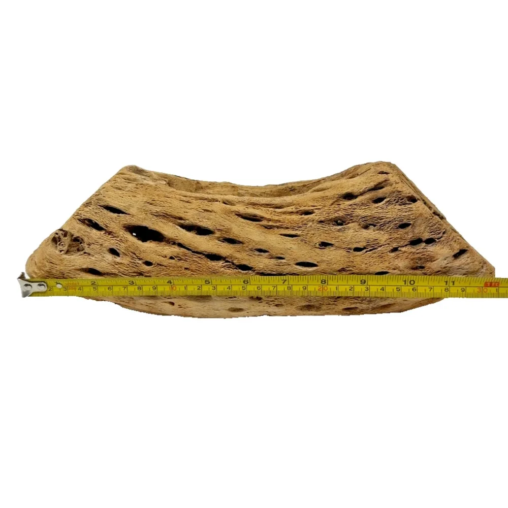 Natural Cholla Cactus Skeleton Wood Segment Reptile Aquarium Terrarium Decor